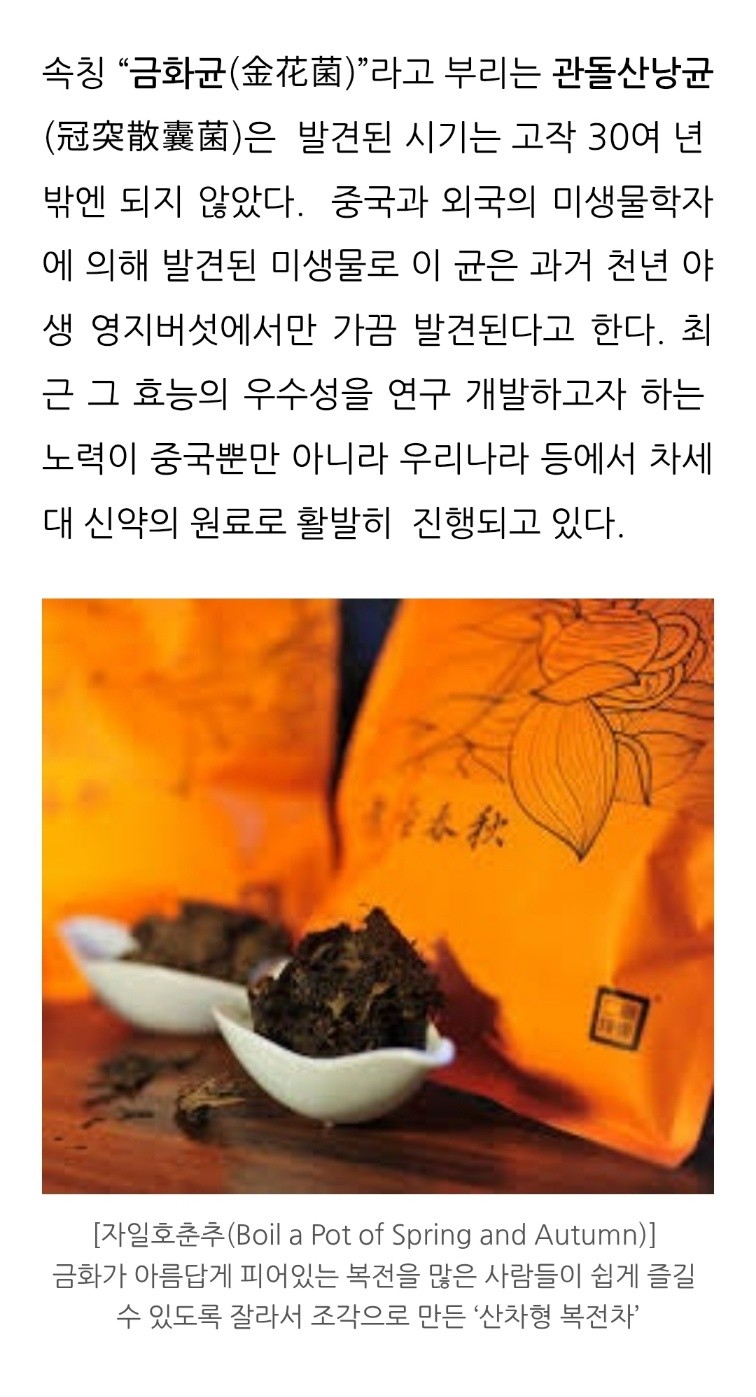 저는 만성피로가 심한 사람이었습니다.