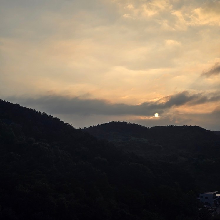 스스로 운동하기:오전반