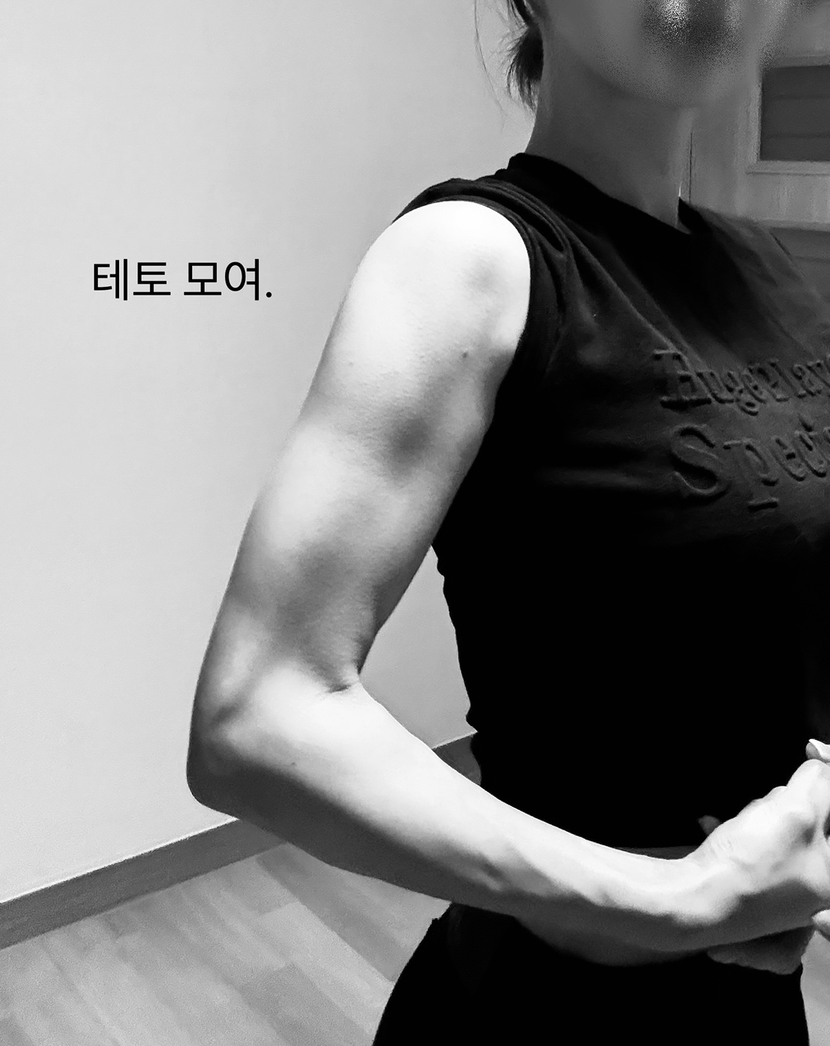 테토가 간다.