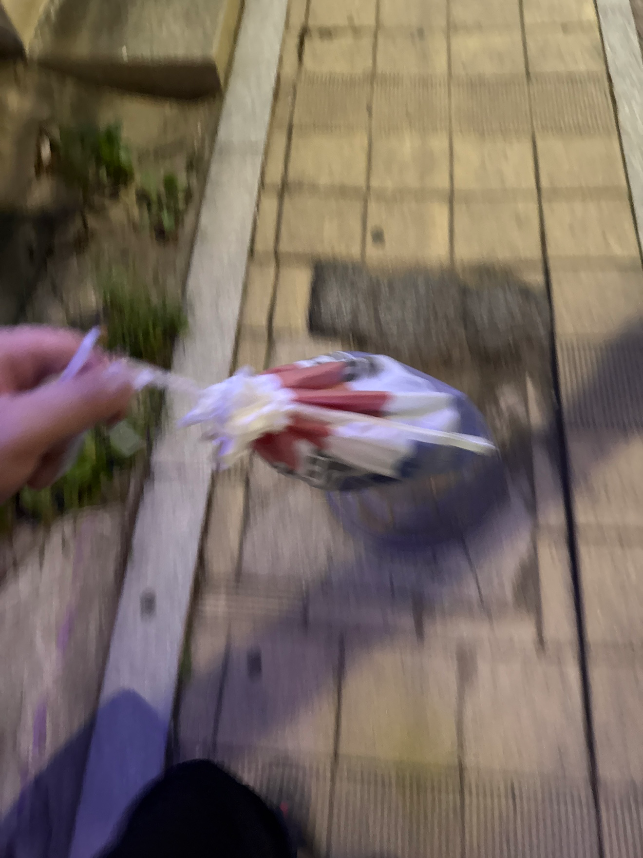 아파서 잠시 쉬었지만 회복하자마자 오수완 해버렸달까요