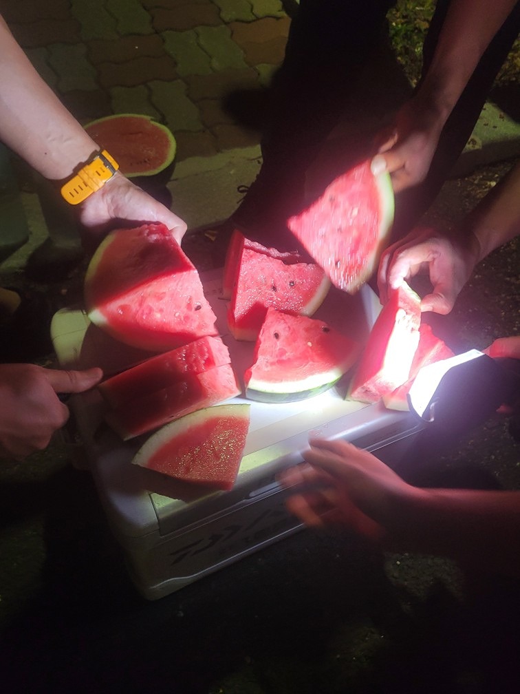 8/8일 ㅇㅎㄷ 동출