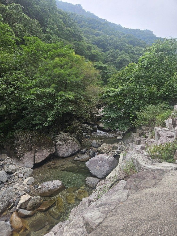 산책&마운틴(초보 등산.둘레길.친목운동) 앨범 사진