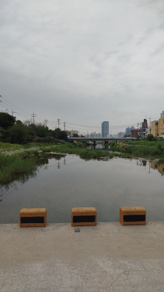 4050대 왕초보런닝 앨범 사진