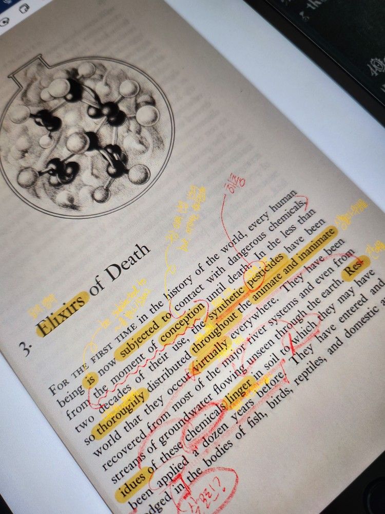 🌿ECO&ENGLISH 착한 북클럽📚 앨범 사진