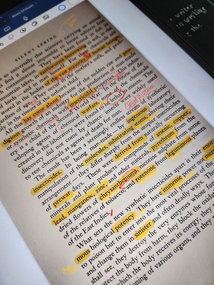 🌿ECO&ENGLISH 착한 북클럽📚 앨범 사진