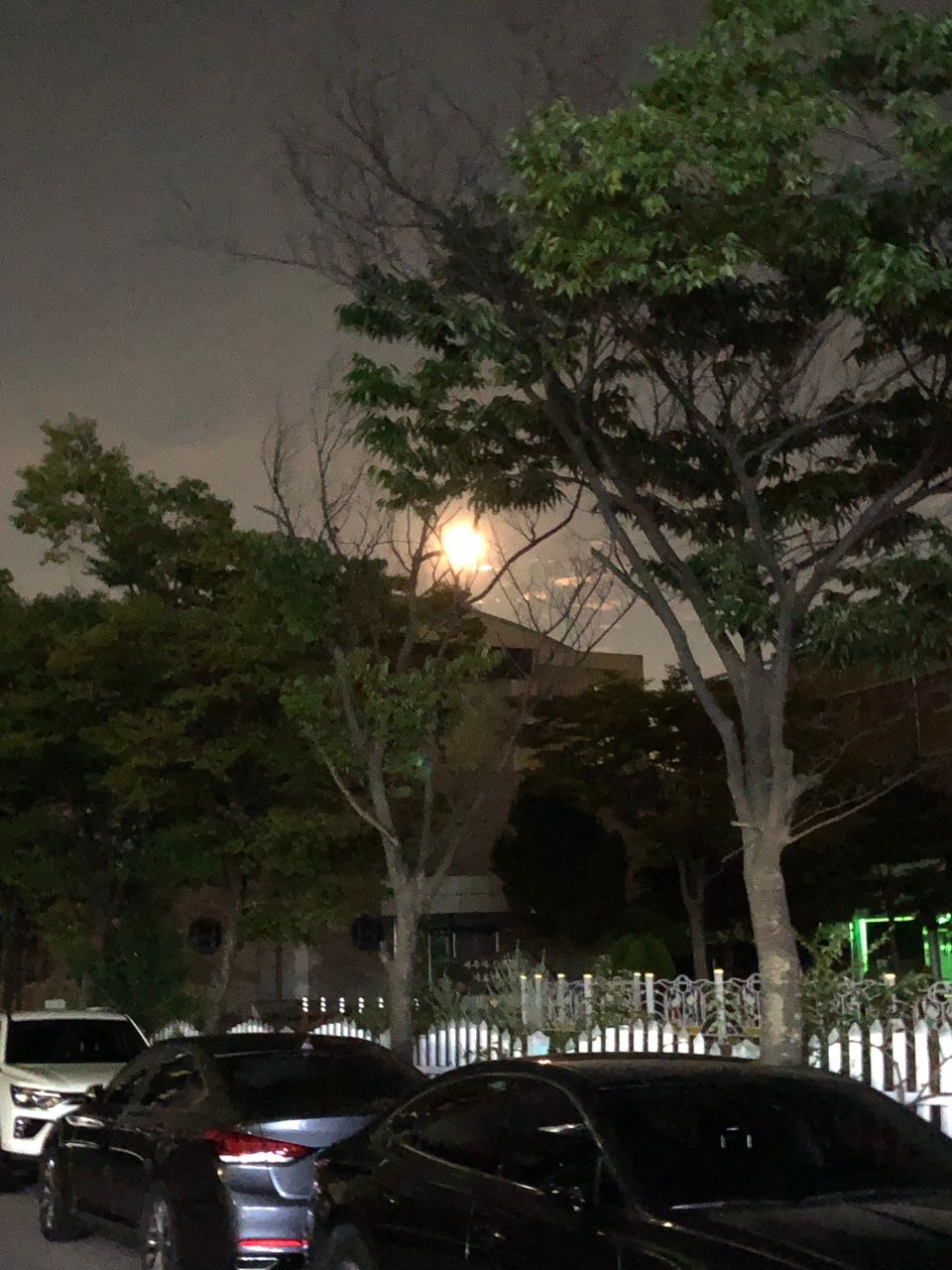 영종도 사진 모임  사진한장!!! 앨범 사진