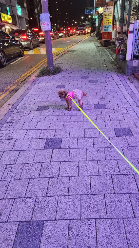 저녁날씨 시원하네용 ㅎㅎ

이런날 야장에서 시원한 얼음생맥 한잔 딱 해쓰믄 참 조켓당