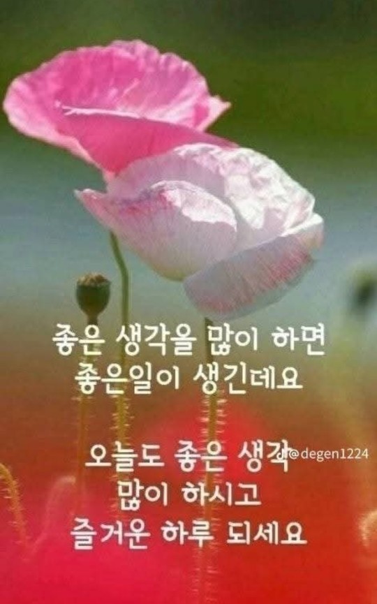 월요일 시작 😜