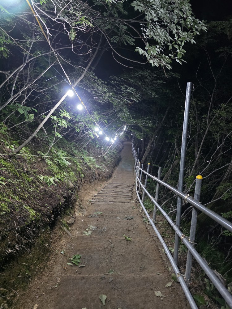 어제 벙 시작으로
야간~~산행 끝으로 하루 마감
활기차고 재미있는 하루였습니다.