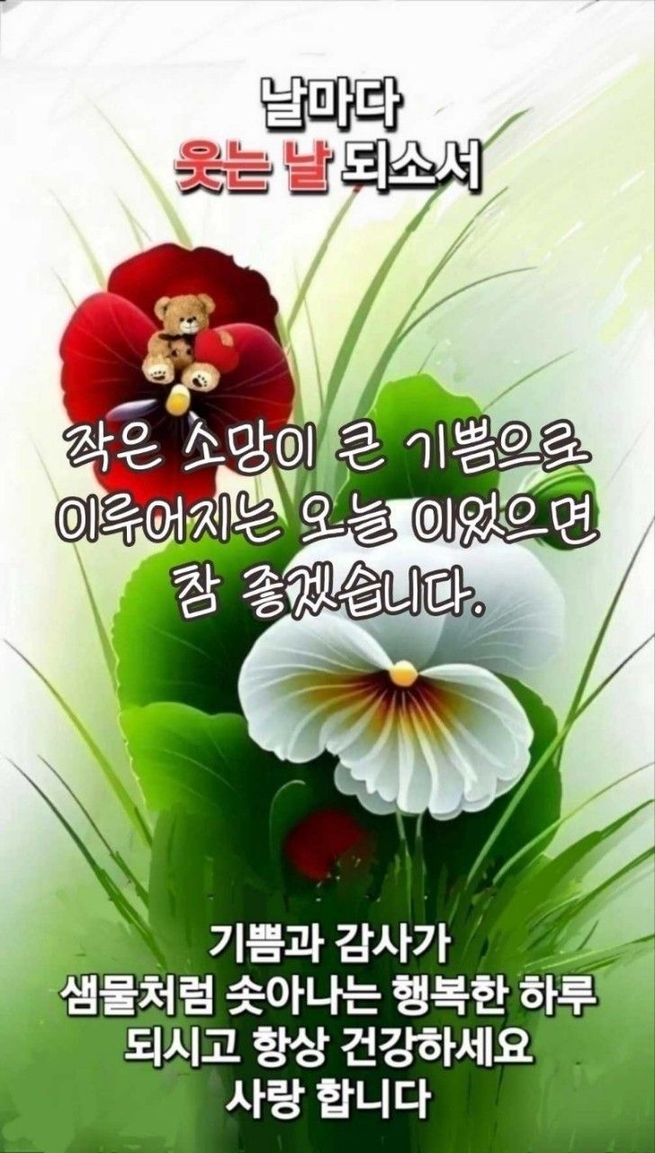 60대 아름다운 동행 앨범 사진