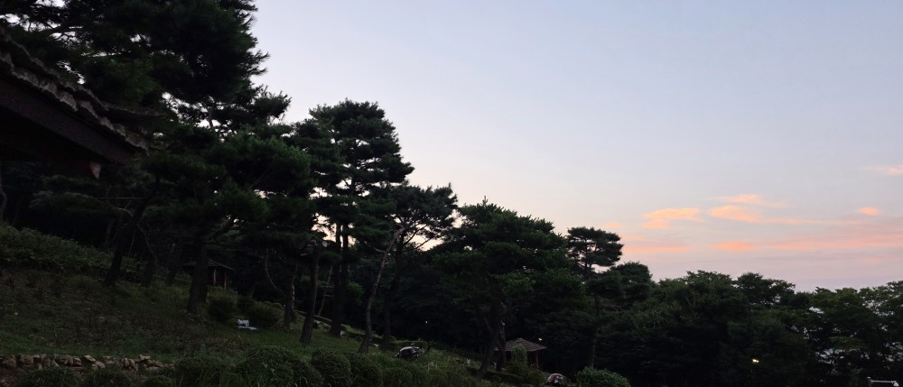 굿모닝 운동합시다