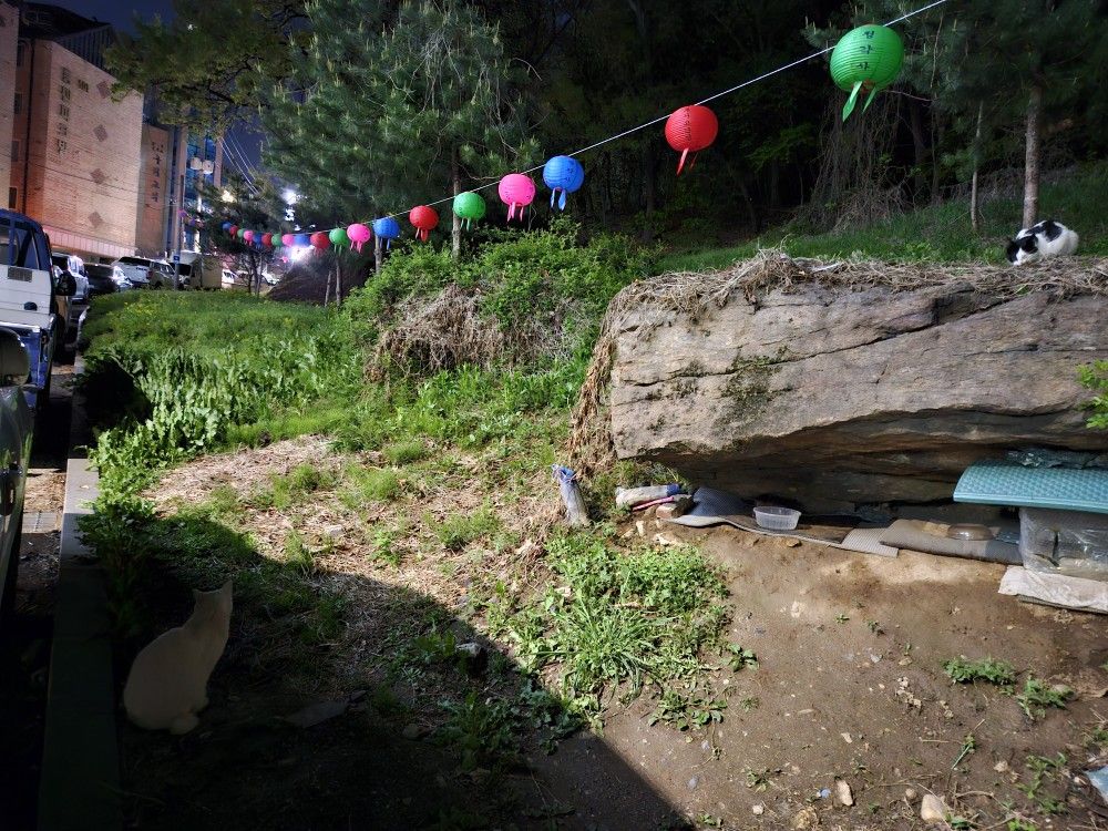 길위에묘생과함께 앨범 사진