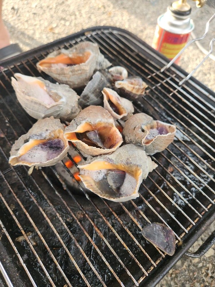 싱싱해루질🐙🦀🦞🦐🦑🐚 앨범 사진