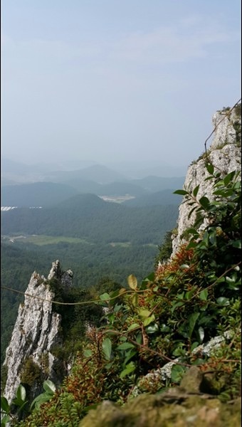 친구같은~만인산같이해요