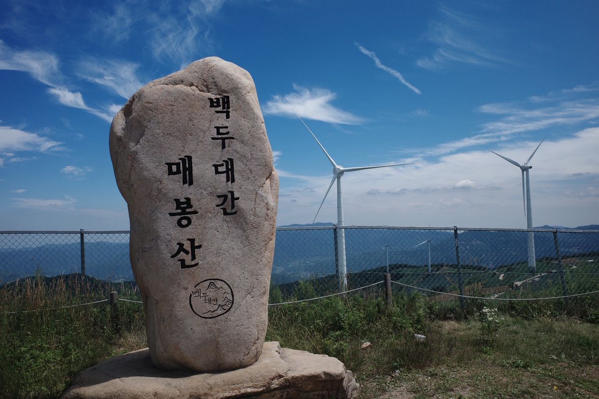 심야식당 [온기]  앨범 사진