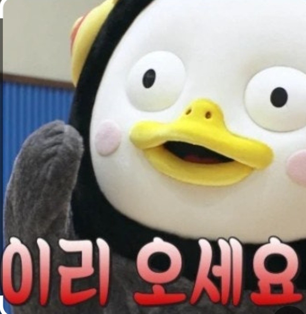 평일벙벙벙벙