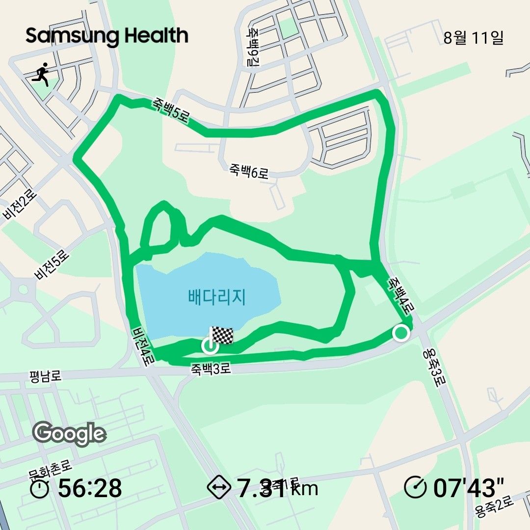 평택 🏃‍♂️ 운동🏋‍♂️ 인증 앨범 사진