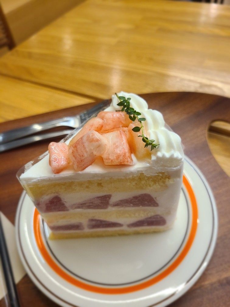 🍞빵굽빵긋☺️ 앨범 사진