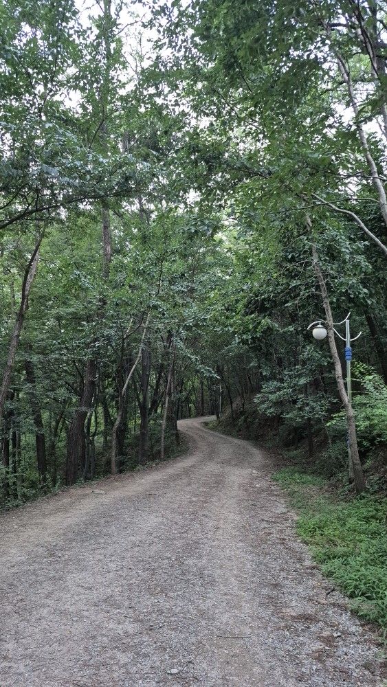 계족산 황톳길 걷기 산행 앨범 사진