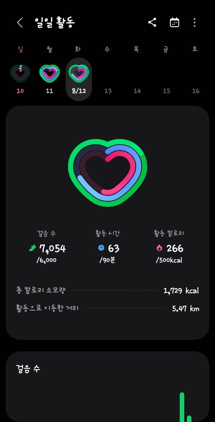 동네 런닝(습관만들기) 앨범 사진
