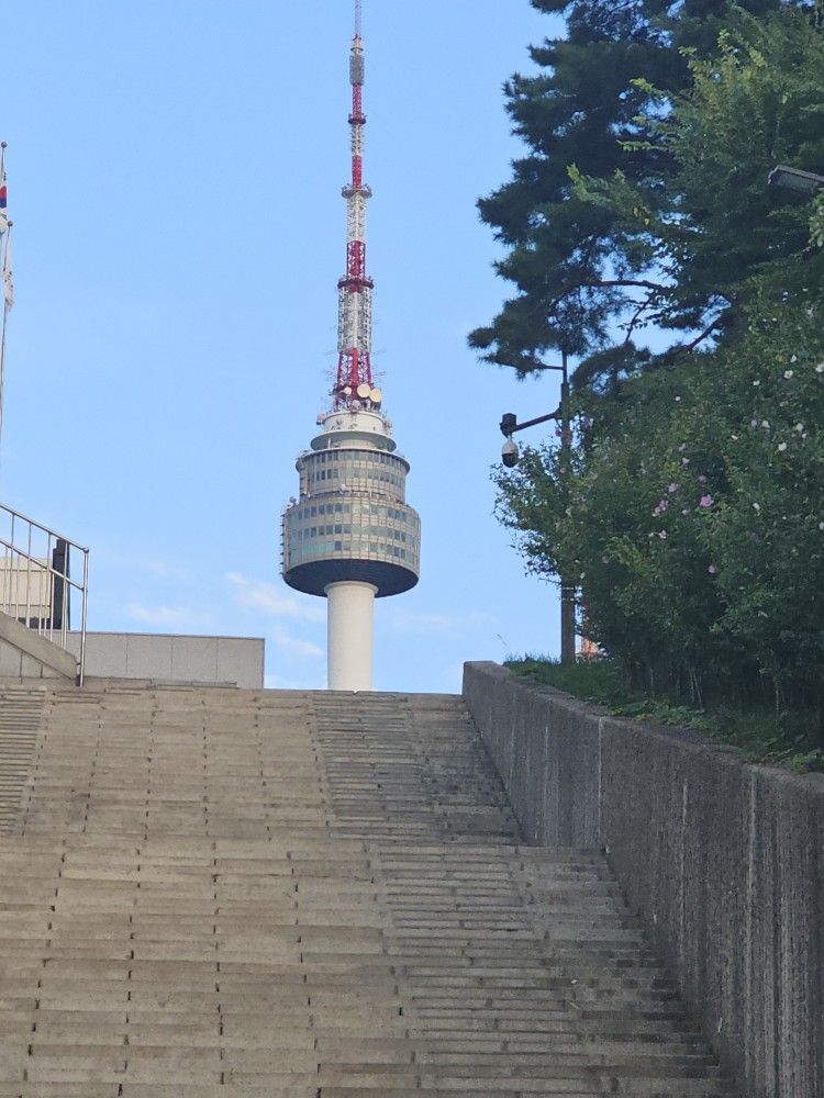 남산산책     (걷기, 런닝) 앨범 사진