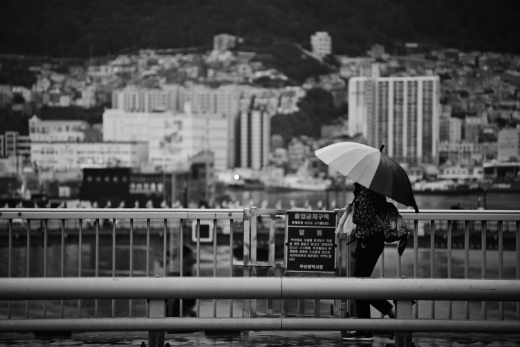 날도 꾸리꾸리하고 해서 Z5의 모노크롬 모드로 몇장 촬영해봤습니다!
 2450 번들렌즈 사용하다 답답해서, 판매하려던 Fd 70150 줌렌즈로 촬영했습니다
 다행히 재밋게 나온거같네요ㅎㅎㅎ