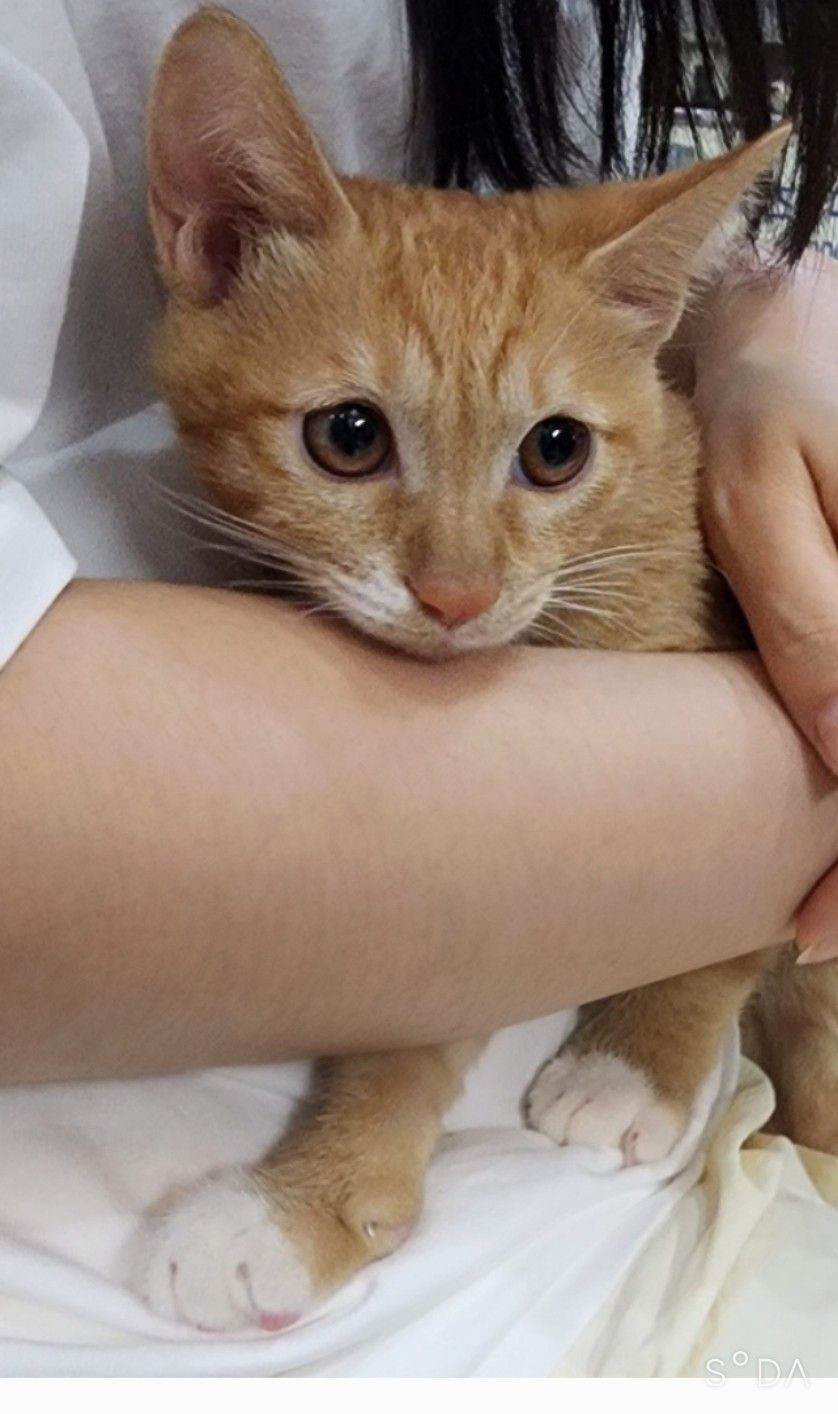 길위에묘생과함께 앨범 사진