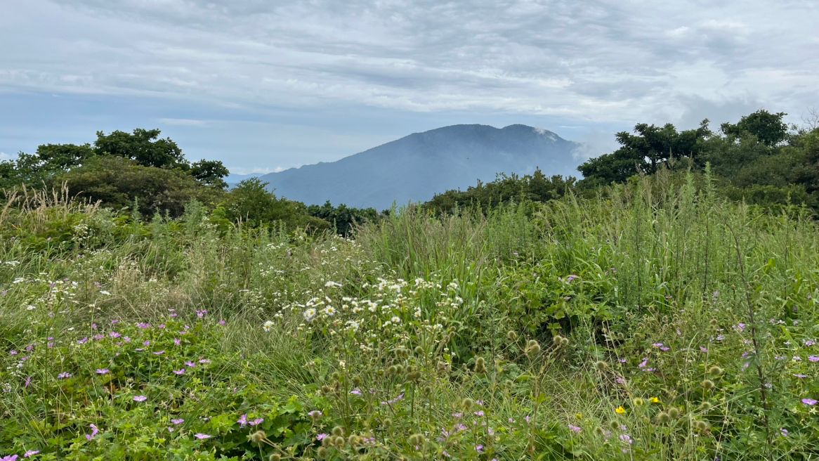 대전올래산악회 앨범 사진