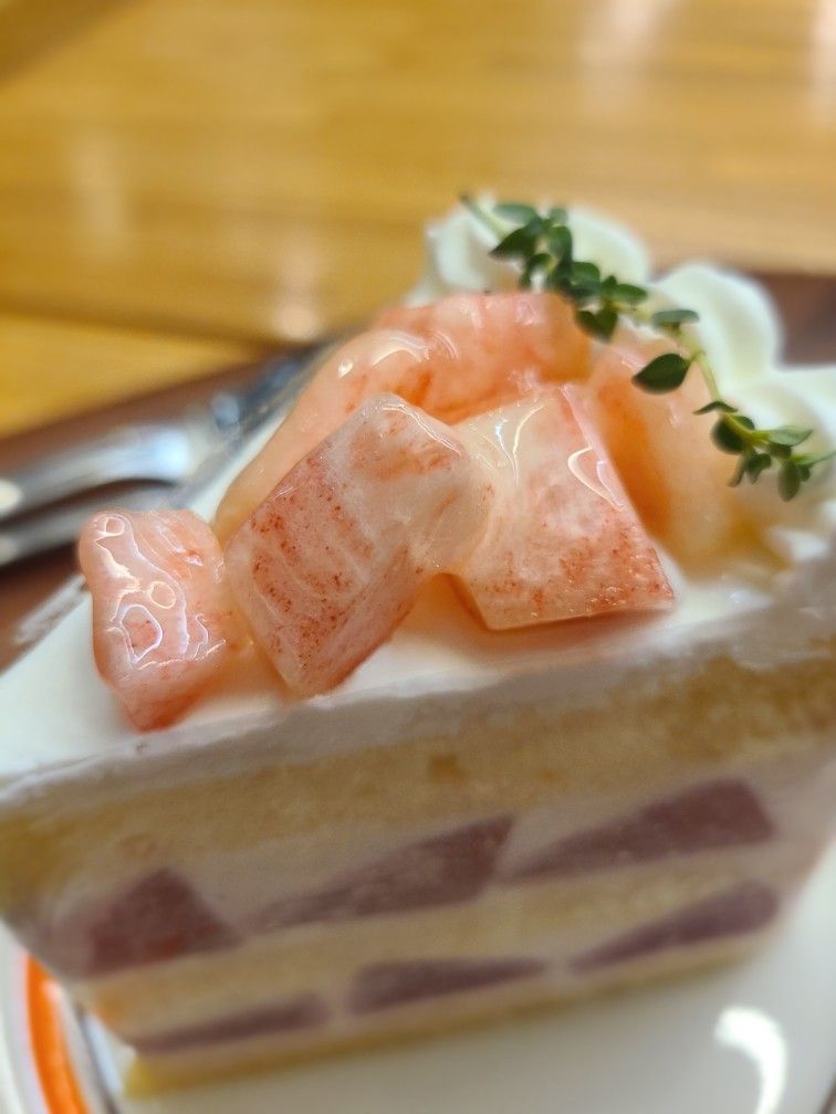🍞빵굽빵긋☺️ 앨범 사진