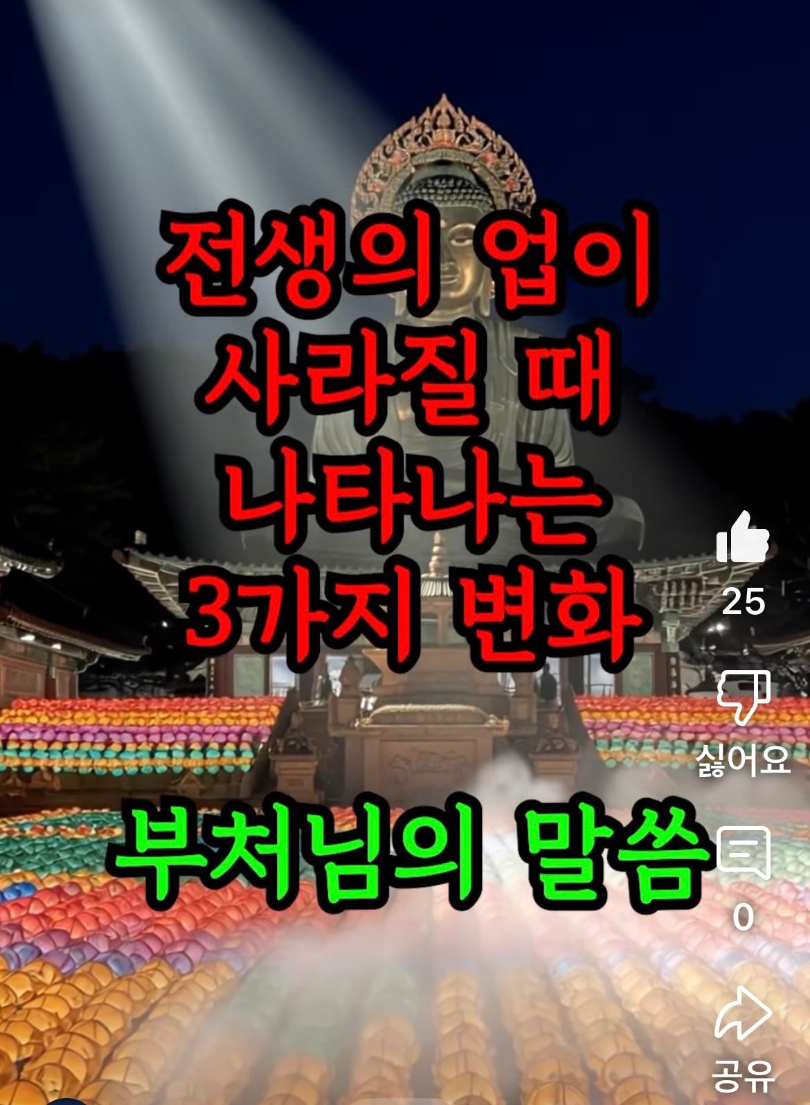 나도 숏츠 릴스 마스터! 앨범 사진