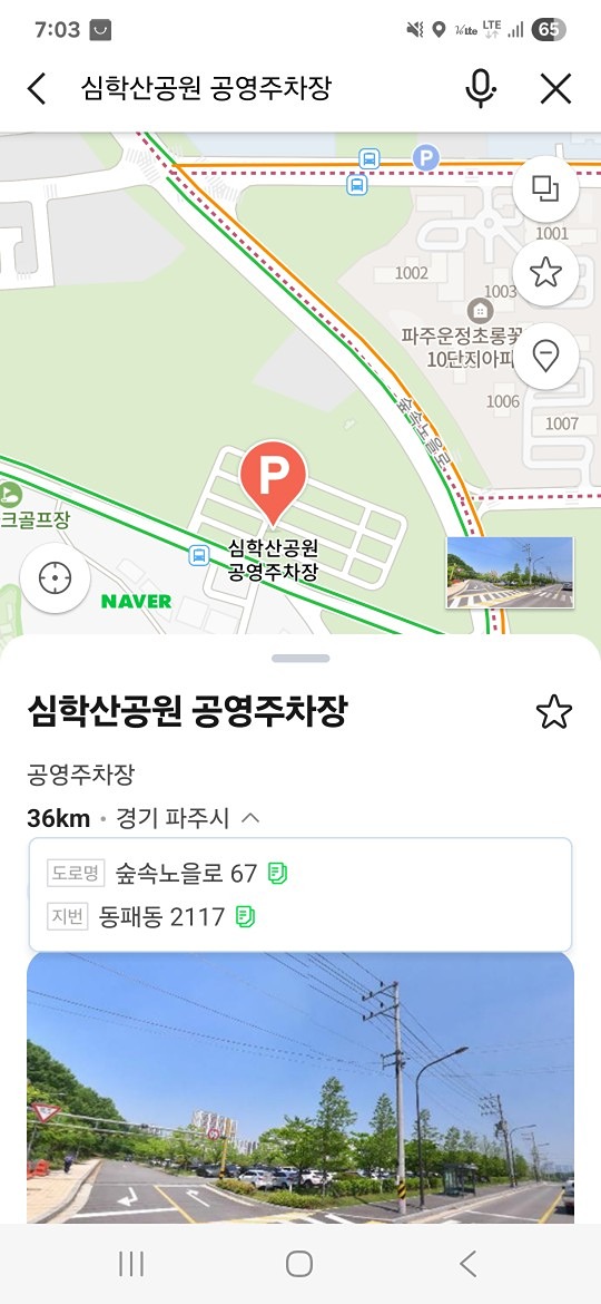 심학산 야간등산