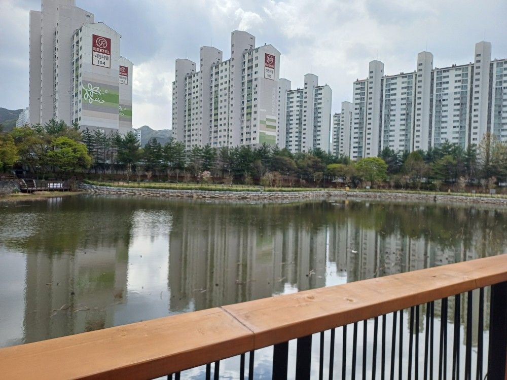 평화동 🏃‍♂️러닝크루🏃‍♀️ 앨범 사진