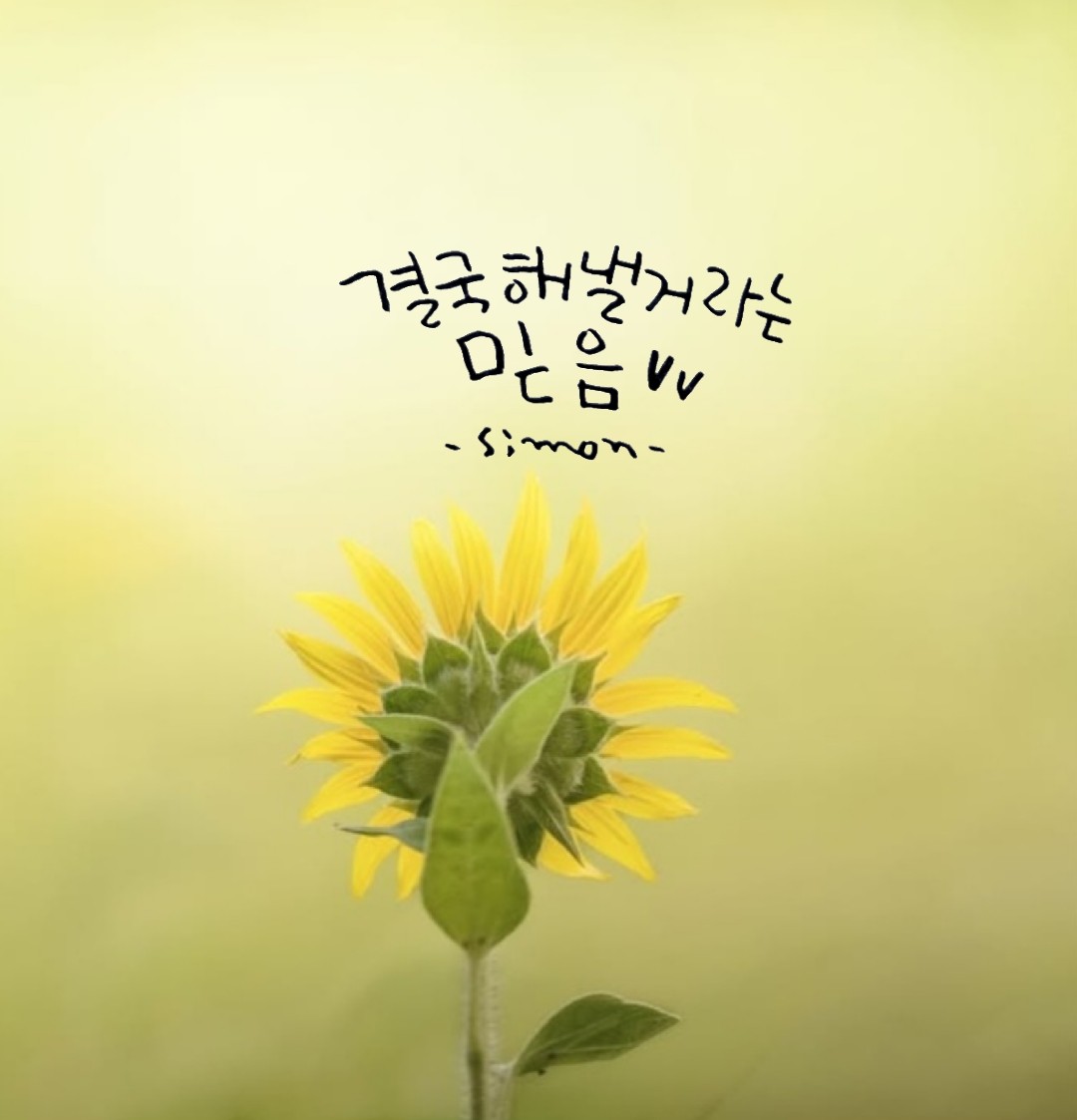 싱글🎁돌싱 환영합니다.  
소소한 대화가있는
맛집 & 여행 and  혼술.혼밥
일상 대화로 스트레스 해소
새로운 사람들 과 인연을 쌓고 싶은분
좋은사람들 함께 좋은 추억을 
쌓고 싶은분 누구라도...
여러분을 기다리고 있습니다
드루와 드루와 다 드루와~~