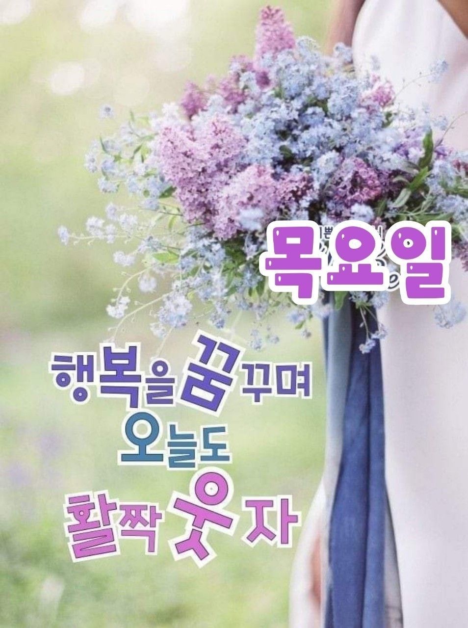 동네친구 앨범 사진