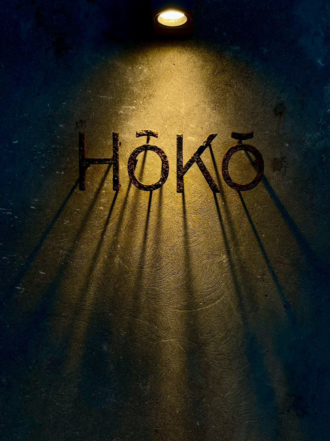 2025.08.15(금) HOKO

동그란 조명 빛이 기다란 선의 그림자로