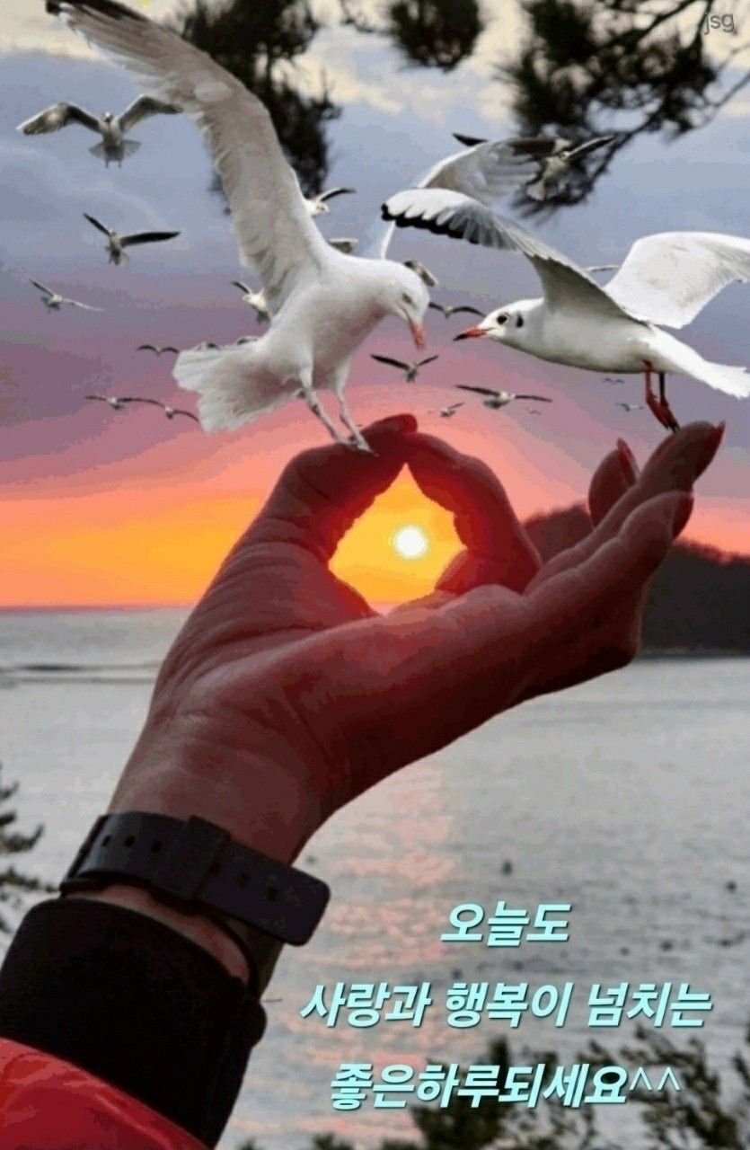 🍏50~~60~싱글사랑방🍏 ��앨범 사진
