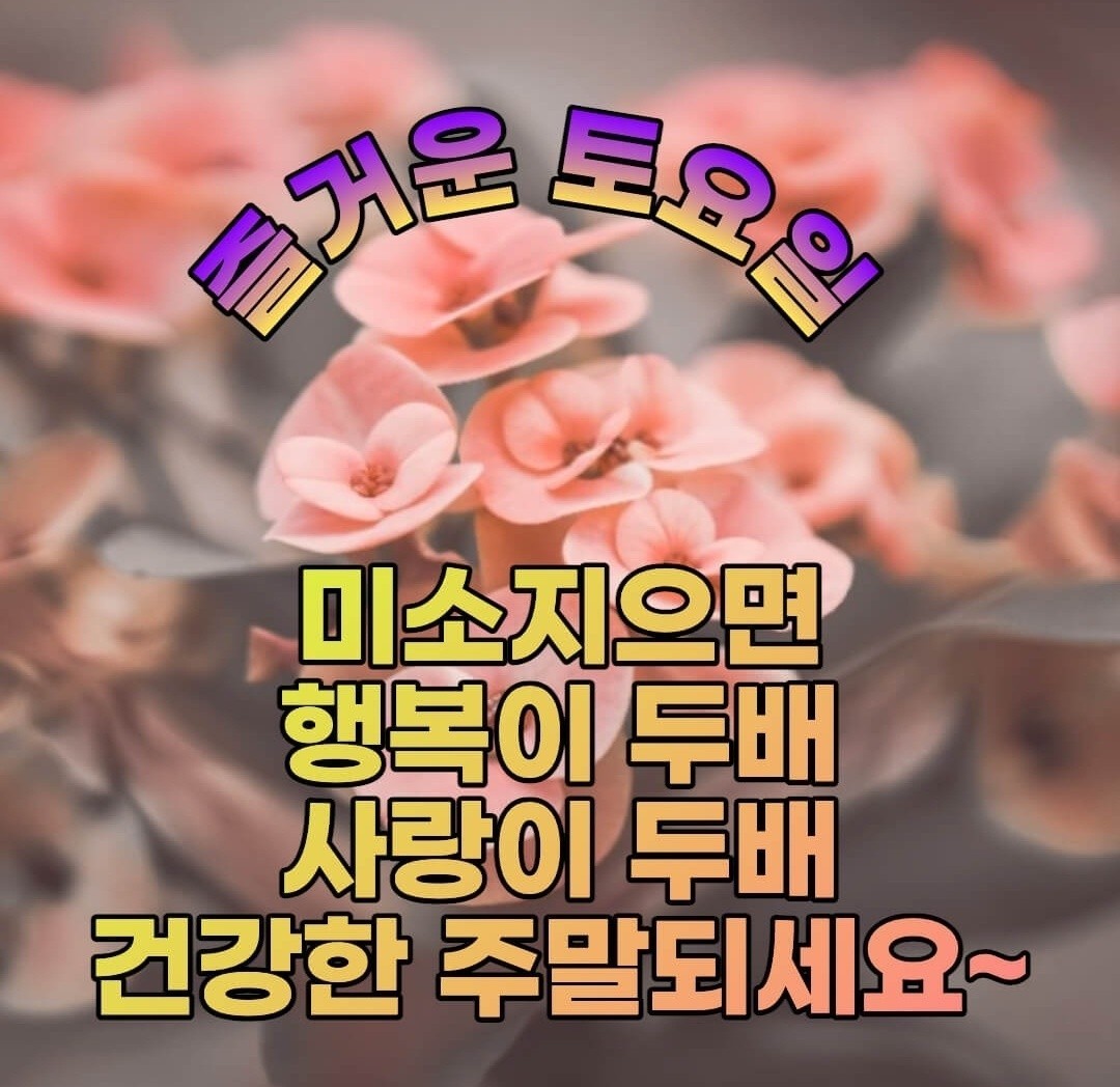 즐거운 토요일