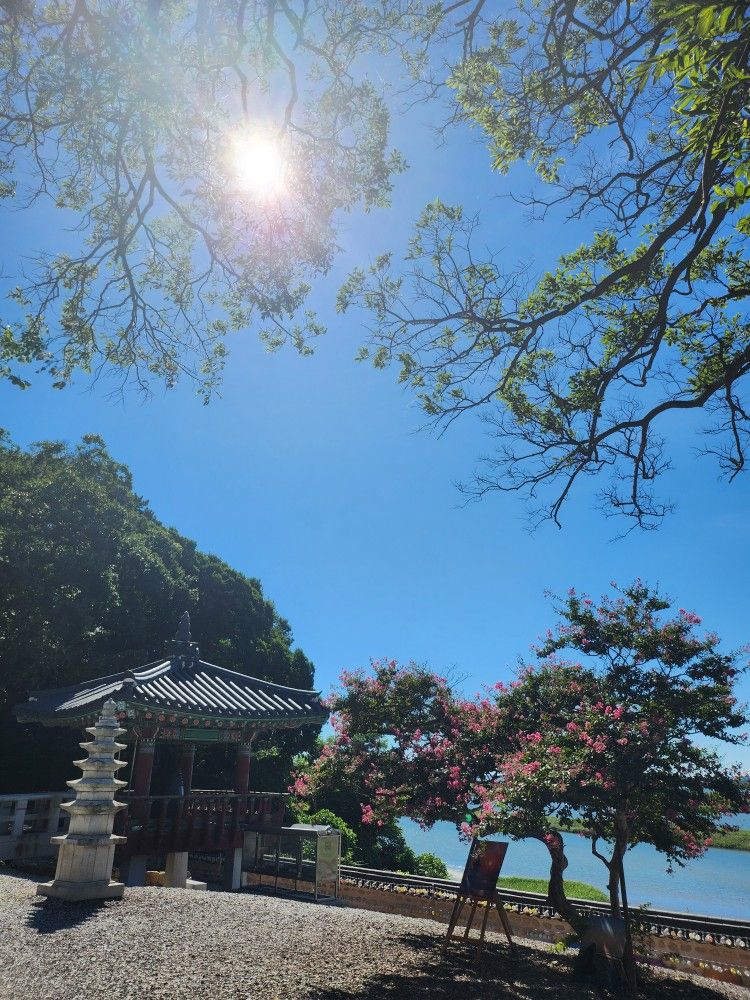 좋은날이당🥰전북🥰7080🥰친목😍신생 앨범 사진