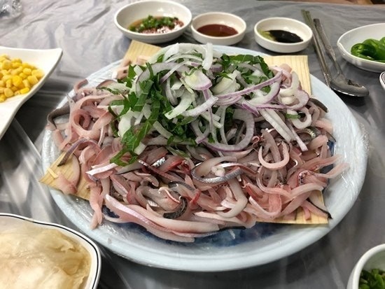 전어회 어때요?
