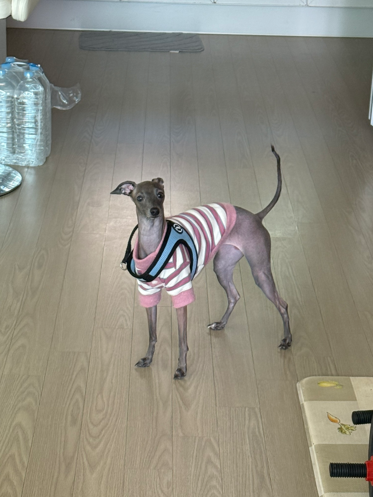 똘망똘망한 눈