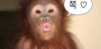 저녁 먹고 7시쯤 합니다! 주말은 점심 먹고 내내 할 때도 잇어요!