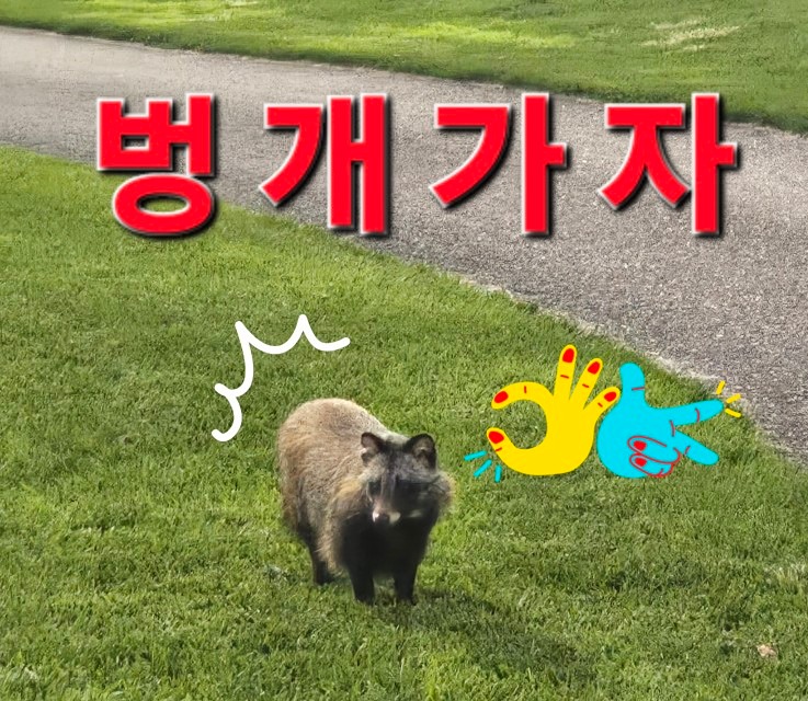 토요일 저녁벙 8:00시