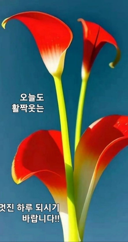 ♡ 어머니 & 아버지 
'어머니'란~!!
세상에 어머니만한 여자는 없습니다.
처녀 때는 바퀴벌레만 보고도
무서워 하던 그 여자가 엄마�가 되어서는 아이를 물려고 대드는 세퍼트에게도 덤벼드는 분이 어머니입니다.
시집가기 전에는 버스 한 정거장도 택시를 타던 그 여자가, 열이 펄펄 끓는 아이를 업고는 맨발로 삼십리를 달려가는 분이 어머니 뿐입니다.
아무리 출세하고 돈많이 벌어도 쭈굴쭈굴한 어머니 뱃속에서 나왔다는 것을 한 시도 잊어서는 안되겠습니다.
'아버지'란~!!
아버지의 사랑은 뒷모습 사랑이다.
침묵하는 사랑이며,
가슴 밑바닥에 묻혀있는 사랑이다.
정작 만나면 말 한 마디 나누지않지만, 가슴으로는 많은 말을 한다. 그래서 아버지의 눈물은 가슴으로 흐른다.
누구에게나 아버지는 끝이 없는 사랑이다. 그래서 아버지의 사망을 '천붕(天崩)'이라 한다. 하늘이 무너지는 것이다.
그런 아버지의 모습에 이미 성장한 아들은 뜨거운 눈물을 삼킨다.
세상에서 가장 든든한 힘 아버지!
우리 아버지 입니다···!!