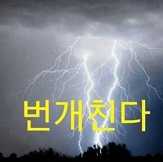 최악의다미가벙쳐봅니다