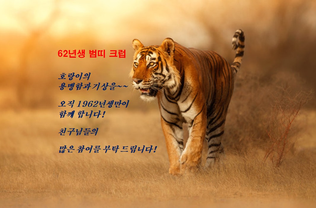 62년 범띠 클럽