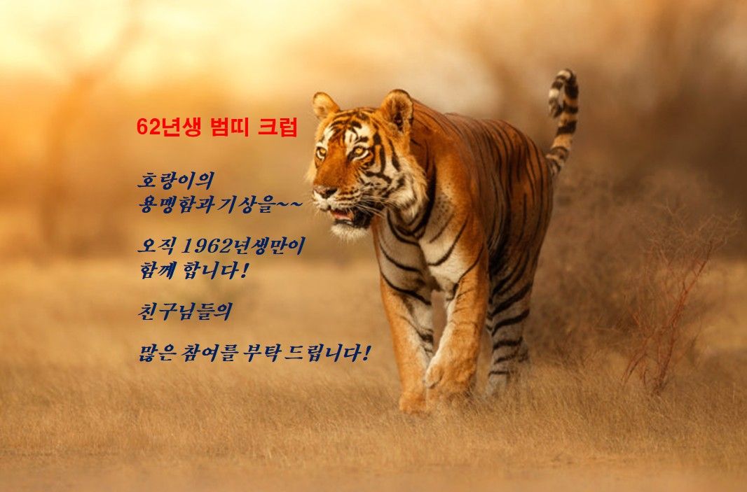 1962년생 범띠 클럽 앨범 사진