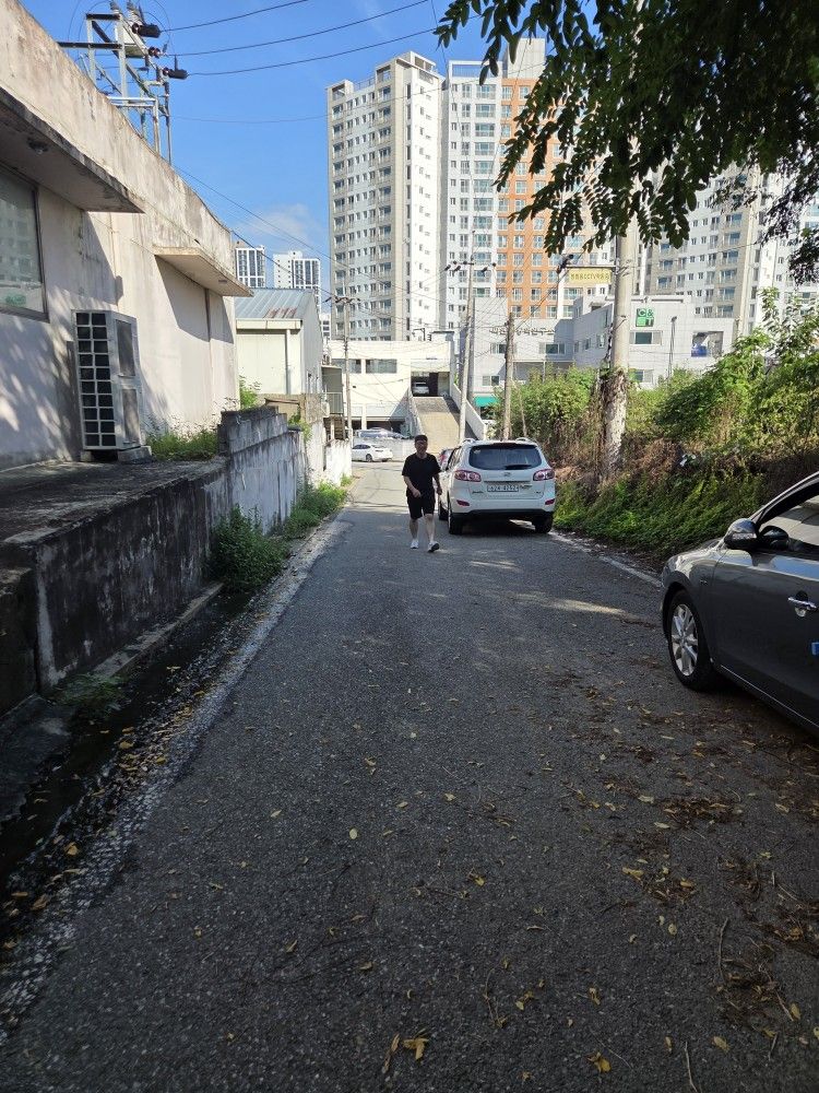 천안큰매산트레킹 앨범 사진