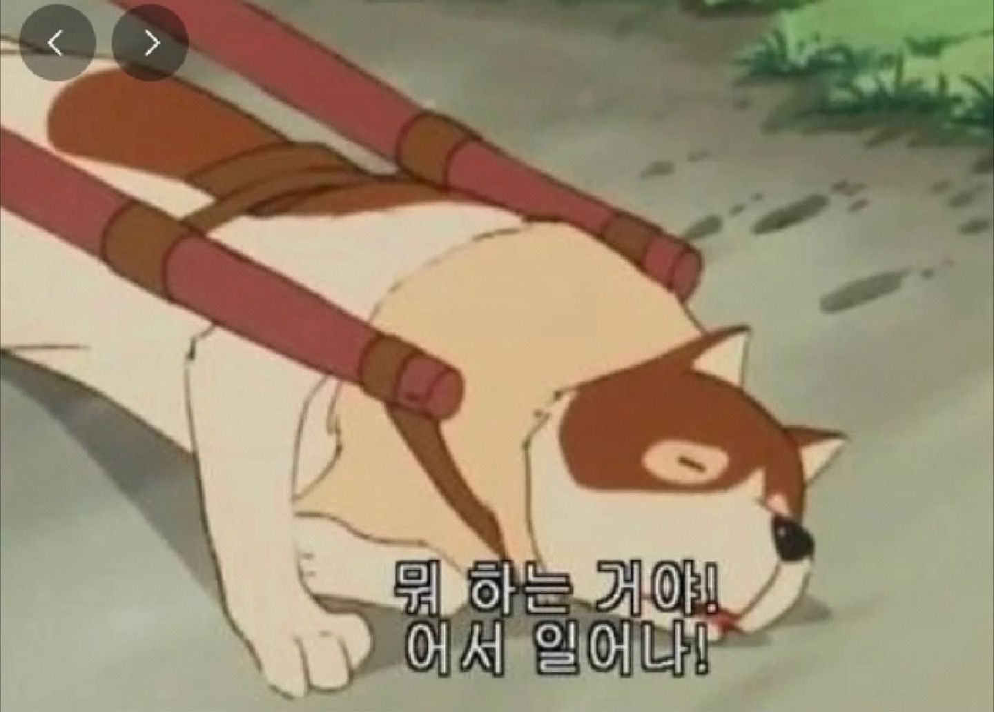 일어나요 용사여!!