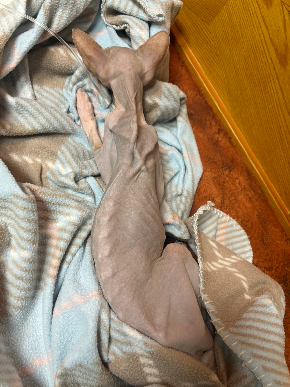 Post image 2