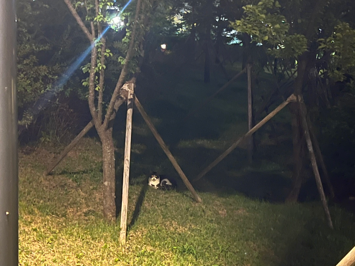 Post image 6